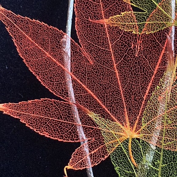 Japanese Maple Leaf Lines Framed Art - Picture 7 of 10